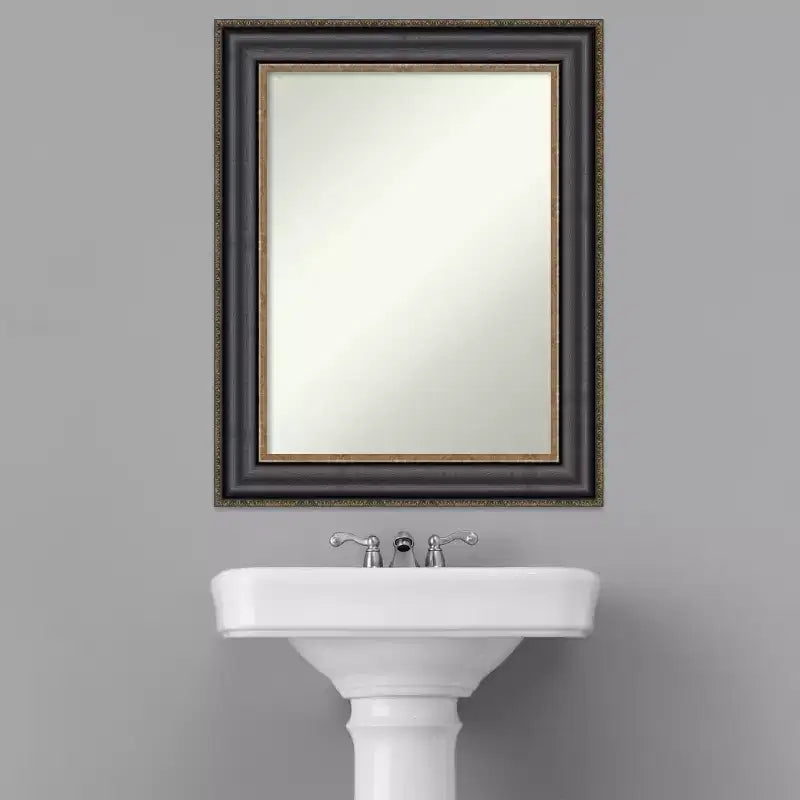 Specchio da parete rettangolare con cornice in bronzo nero, singolo, 24" x 30"