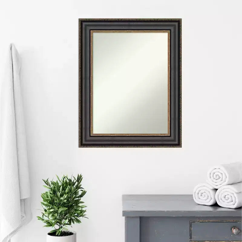 Specchio da parete rettangolare con cornice in bronzo nero, singolo, 24" x 30"