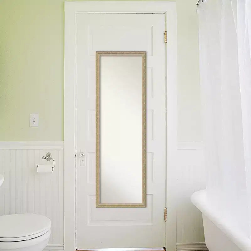 Specchio Intero da Parete e Porta, Ornamentale, Bronzo Champagne, Singolo