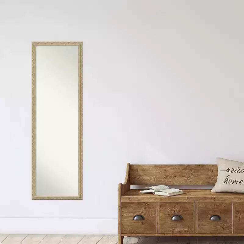 Specchio Intero da Parete e Porta, Ornamentale, Bronzo Champagne, Singolo